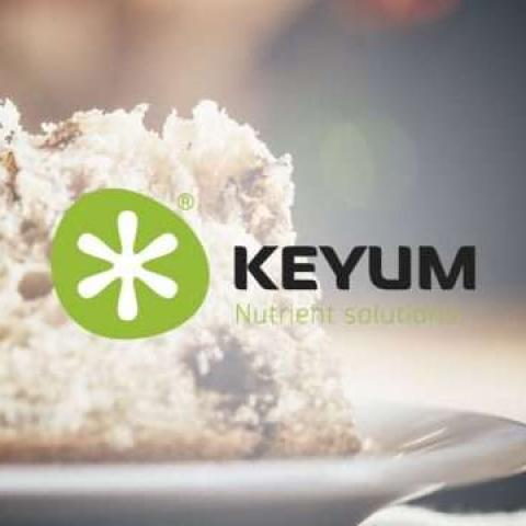 DIETA E NATALE: COME SUPERARE IL PERIODO DI ABBUFFATE NATALIZIE IN SERENITÀ